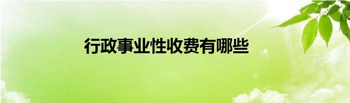 行政事业性收费有哪些