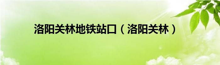洛阳关林地铁站口（洛阳关林）