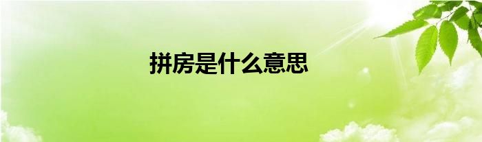 拼房是什么意思