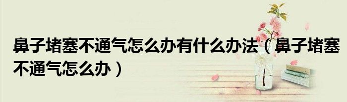 鼻子堵塞不通气怎么办有什么办法（鼻子堵塞不通气怎么办）