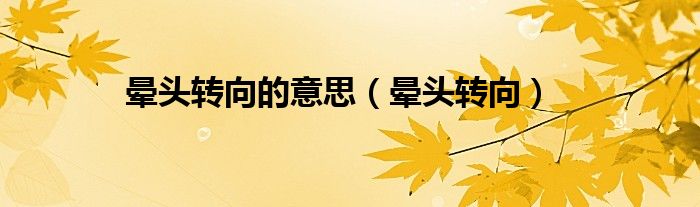 晕头转向的意思（晕头转向）