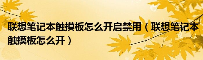联想笔记本触摸板怎么开启禁用（联想笔记本触摸板怎么开）