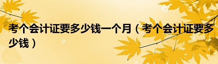 考个会计证要多少钱一个月（考个会计证要多少钱）