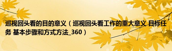 巡视回头看的目的意义（巡视回头看工作的重大意义 目标任务 基本步骤和方式方法_360）