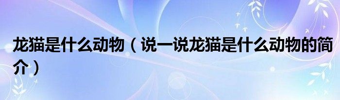 龙猫是什么动物（说一说龙猫是什么动物的简介）