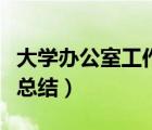 大学办公室工作总结怎么写（大学办公室工作总结）