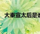 大秦宣太后是谁的皮肤（大秦宣太后是谁）