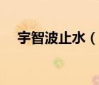宇智波止水（说一说宇智波止水的简介）
