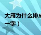 大雁为什么排成一字形飞行（大雁为什么排成一字）