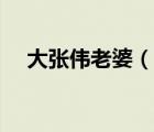 大张伟老婆（说一说大张伟老婆的简介）