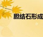 胆结石形成的原因（胆结石的原因）
