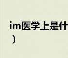 im医学上是什么意思（po医学上是什么意思）