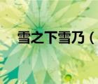 雪之下雪乃（说一说雪之下雪乃的简介）