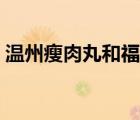 温州瘦肉丸和福鼎肉片的区别（温州瘦肉丸）