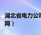 湖北省电力公司官网刘勇（湖北省电力公司官网）