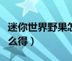 迷你世界野果怎么快速获得（迷你世界野果怎么得）