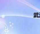 武汉都市女子医院