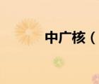 中广核（说一说中广核的简介）