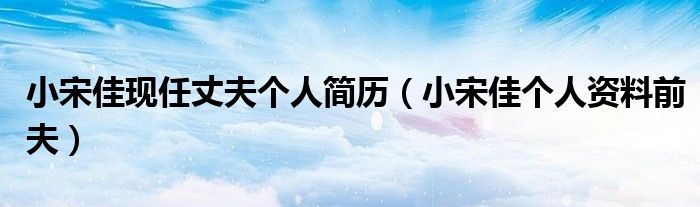 小宋佳现任丈夫个人简历（小宋佳个人资料前夫）