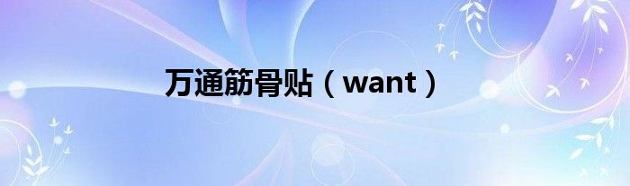 万通筋骨贴（want）