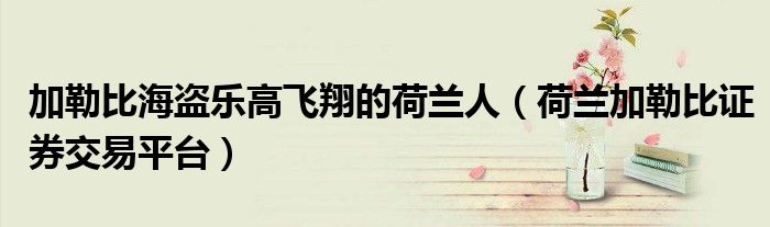 加勒比海盗乐高飞翔的荷兰人（荷兰加勒比证券交易平台）