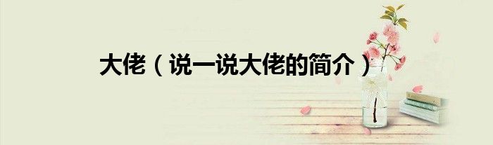 大佬（说一说大佬的简介）