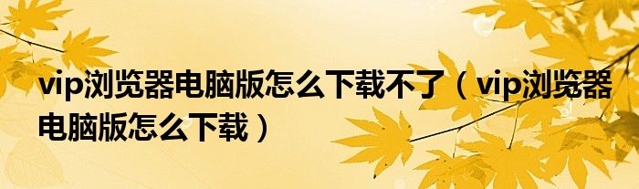 vip浏览器电脑版怎么下载不了（vip浏览器电脑版怎么下载）