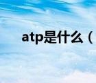 atp是什么（说一说atp是什么的简介）