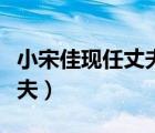 小宋佳现任丈夫个人简历（小宋佳个人资料前夫）