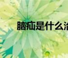 脑疝是什么治愈率多高（脑疝是什么）