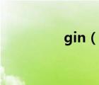 gin（说一说gin的简介）
