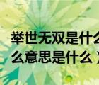 举世无双是什么意思解释（举世无双的举是什么意思是什么）