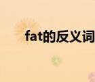 fat的反义词英语单词（fat的反义词）