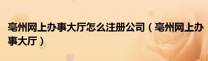 亳州网上办事大厅怎么注册公司（亳州网上办事大厅）