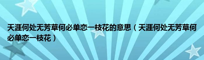 天涯何处无芳草何必单恋一枝花的意思（天涯何处无芳草何必单恋一枝花）