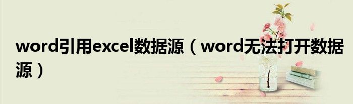 word引用excel数据源（word无法打开数据源）