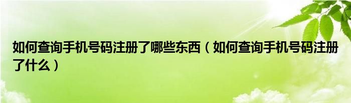 如何查询手机号码注册了哪些东西（如何查询手机号码注册了什么）