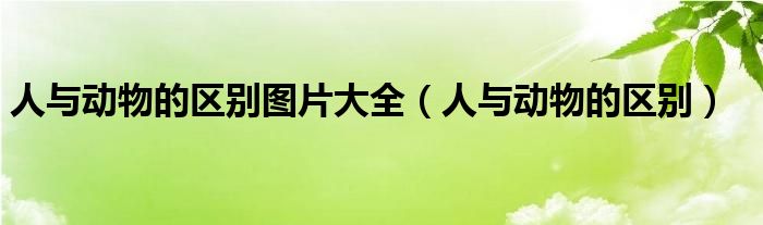 人与动物的区别图片大全（人与动物的区别）