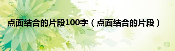 点面结合的片段100字（点面结合的片段）