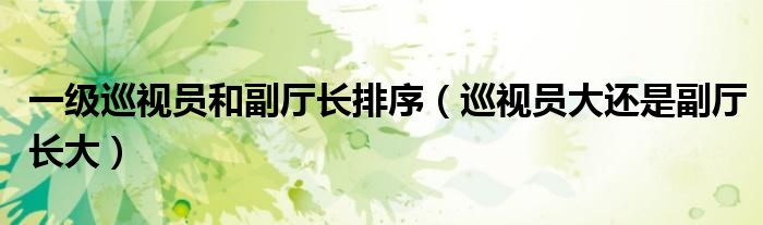 一级巡视员和副厅长排序（巡视员大还是副厅长大）