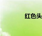 红色头像图片（红色头像）
