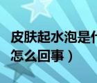 皮肤起水泡是什么病怎么用药（皮肤起水泡是怎么回事）