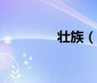 壮族（说一说壮族的简介）