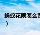 蚂蚁花呗怎么套出现金（蚂蚁花呗怎么套出来）