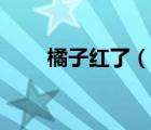 橘子红了（说一说橘子红了的简介）