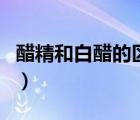 醋精和白醋的区别是什么（醋精和白醋的区别）