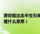 愿你我出走半生归来仍是少年（愿我出走半生 归来仍是少年是什么意思）