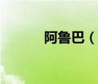 阿鲁巴（说一说阿鲁巴的简介）