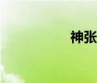 神张角图片（神张角）