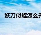 妖刀似蛭怎么升级血刀（妖刀似蛭合成不）